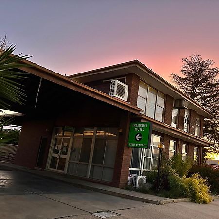 The Shamrock Hotel 밸라널드 외부 사진